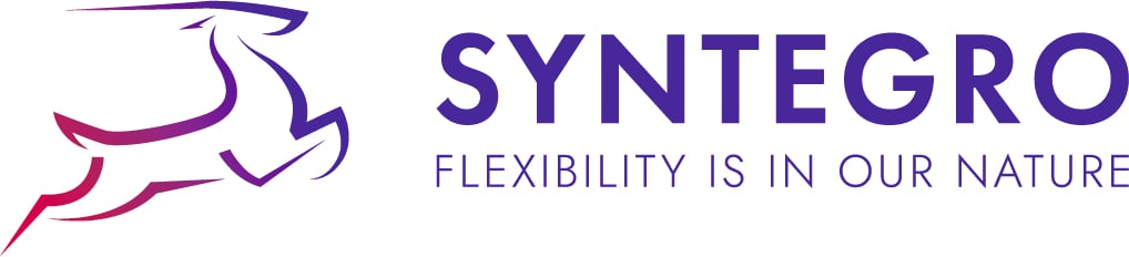 Syntegro