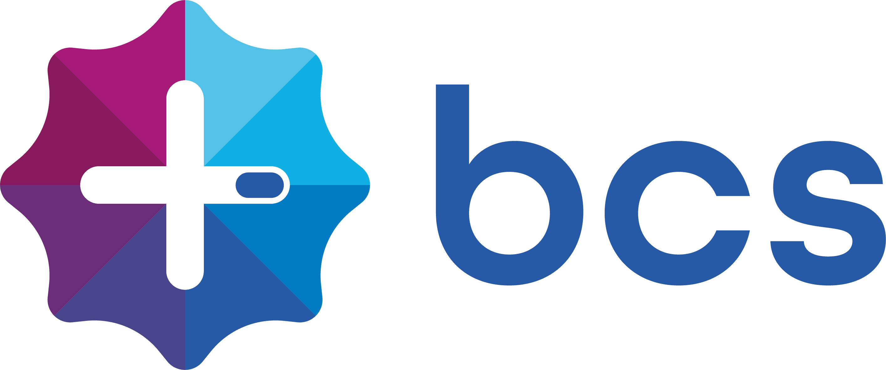 BCS Salarisadministratie